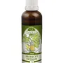 Naděje - Brodecký redukční ortislim T2 50 ml