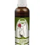 Naděje - Česnek medvědí a česnek setý - tinktura z bylin T4 50 ml