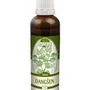 Naděje - Dangšen - tinktura z byliny T5 50 ml
