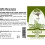Naděje - Leuzea /Maralí kořen/ - tinktura z byliny T24 50 ml