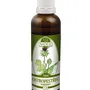 Naděje - Ostropestřec mariánský - tinktura z byliny T30 50 ml