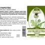Naděje - Ostropestřec mariánský - tinktura z byliny T30 50 ml