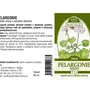 Naděje - Pelargonie - tinktura z byliny T31 50 ml