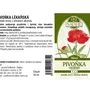 Naděje - Pivoňka - tinktura z rostliny T32 50 ml