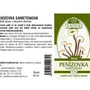 Naděje - Penízovka sametonohá - tinktura z rostliny T35 50 ml