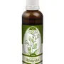Naděje - Řimbaba - tinktura z byliny T37 50 ml