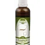 Naděje - Žampion - tinktura z houby T45 50 ml