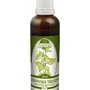 Naděje - Židovská třešeň - tinktura z byliny T47 50 ml