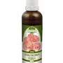 Naděje - Lesklokorka lesklá - tinktura z byliny T58 50 ml