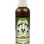 Naděje - Lopuch - tinktura z byliny T59 50 ml