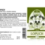 Naděje - Lopuch - tinktura z byliny T59 50 ml