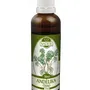 Naděje - Andělika čínská - tinktura z byliny T60 50 ml
