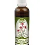 Naděje - Echinacea - tinktura z byliny T7 50 ml