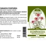 Naděje - Echinacea - tinktura z byliny T7 50 ml