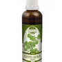 Naděje - Gotu-kola /Brahmí/ - tinktura z byliny T10 50 ml