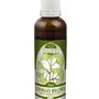 Naděje - Jinan dvoulaločný GINKGO BILOBA - tinktura z byliny T14 50 ml
