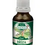 Naděje - Bříza - tinktura z pupenů P2 25 ml