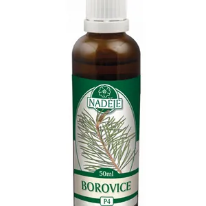Naděje - Borovice sosna - tinktura z pupenů P4 50 ml