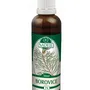 Naděje - Borovice sosna - tinktura z pupenů P4 50 ml