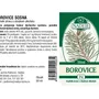 Naděje - Borovice sosna - tinktura z pupenů P4 50 ml