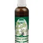Naděje - Černý rybíz - tinktura z pupenů P7 50 ml