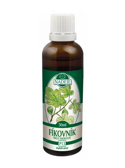 Naděje - Fíkovník - tinktura z pupenů P13 50 ml