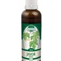 Naděje - Javor babyka - tinktura z pupenů P17 50 ml