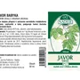 Naděje - Javor babyka - tinktura z pupenů P17 50 ml