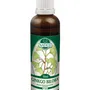Naděje - Jinan dvoulaločný GINKGO BILOBA - tinktura z pupenů P20 50 ml