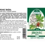 Naděje - Jírovec maďal - tinktura z pupenů P21 50 ml
