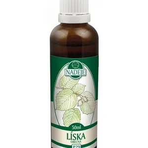 Naděje - Líska obecná - tinktura z pupenů P29 50 ml
