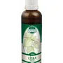 Naděje - Líska obecná - tinktura z pupenů P29 50 ml