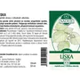 Naděje - Líska obecná - tinktura z pupenů P29 50 ml