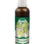 Naděje - Vinná réva - tinktura z pupenů P40 50 ml