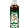 Naděje - Sekvoj - tinktura z pupenů P43 50 ml