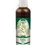 Naděje - Topol černý - tinktura z pupenů P46 50 ml