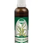 Naděje - Vrba bílá - tinktura z pupenů P49 50 ml