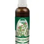Naděje - Brusinka - tinktura z pupenů P53 50 ml