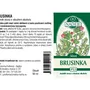 Naděje - Brusinka - tinktura z pupenů P53 50 ml