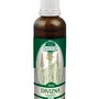 Naděje - Divizna velkokvětá - tinktura z pupenů P54 50 ml