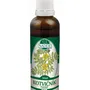 Naděje - Kotvičník pozemní - tinktura z pupenů P56 50 ml