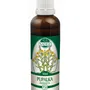 Naděje - Pupalka dvouletá - tinktura z pupenů P58 50 ml