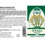 Naděje - Pupalka dvouletá - tinktura z pupenů P58 50 ml