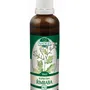 Naděje - Řimbaba - tinktura z pupenů P65 50 ml