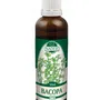 Naděje - Bacopa monnieri - tinktura z pupenů P70 50 ml