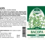 Naděje - Bacopa monnieri - tinktura z pupenů P70 50 ml