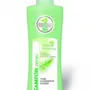 Šampon Zerav - tůjový 200 ml
