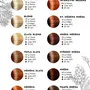 VOONO Henna - Mix at home by VOONO 300 g